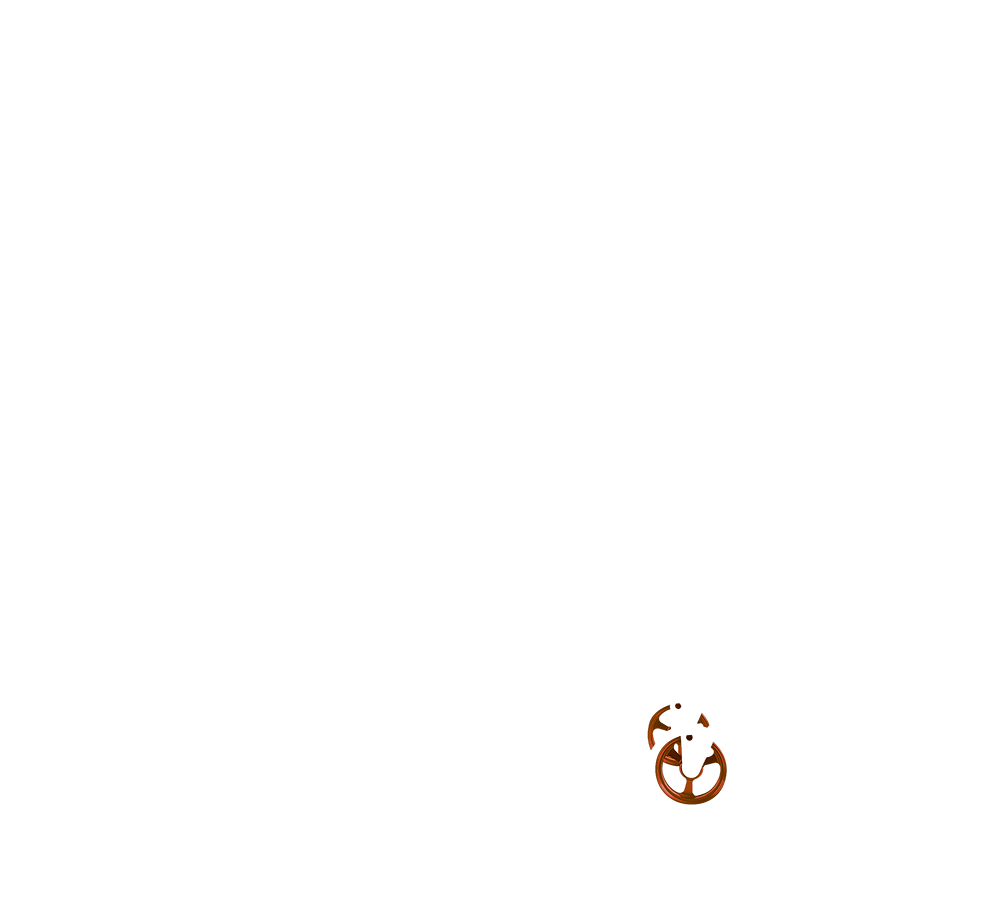 Castor Wheel