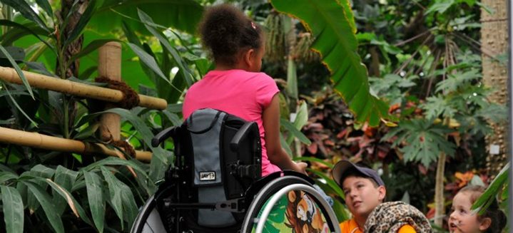 Los mejores parques adaptados para niños con discapacidad