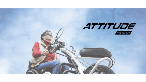 Attitude Hybrid: Nueva electrónica y opciones