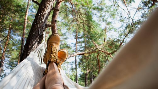 Campings accesibles