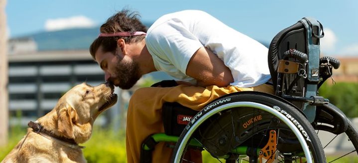 Perros de asistencia para personas con discapacidad