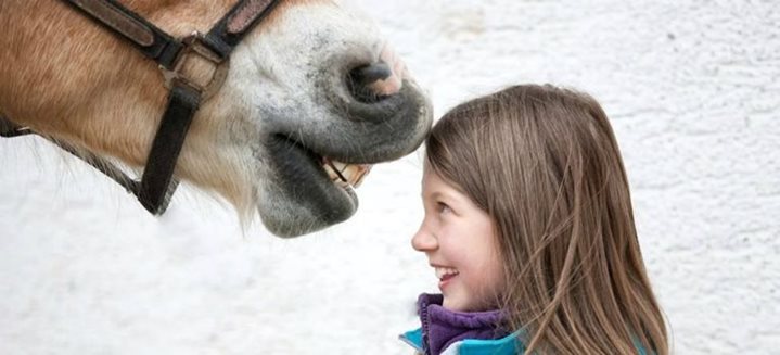 Equinoterapia: fundamentos médicos de la terapia con caballos